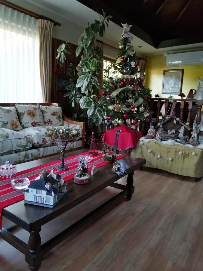 Posada Selva Negra Темуко Экстерьер фото